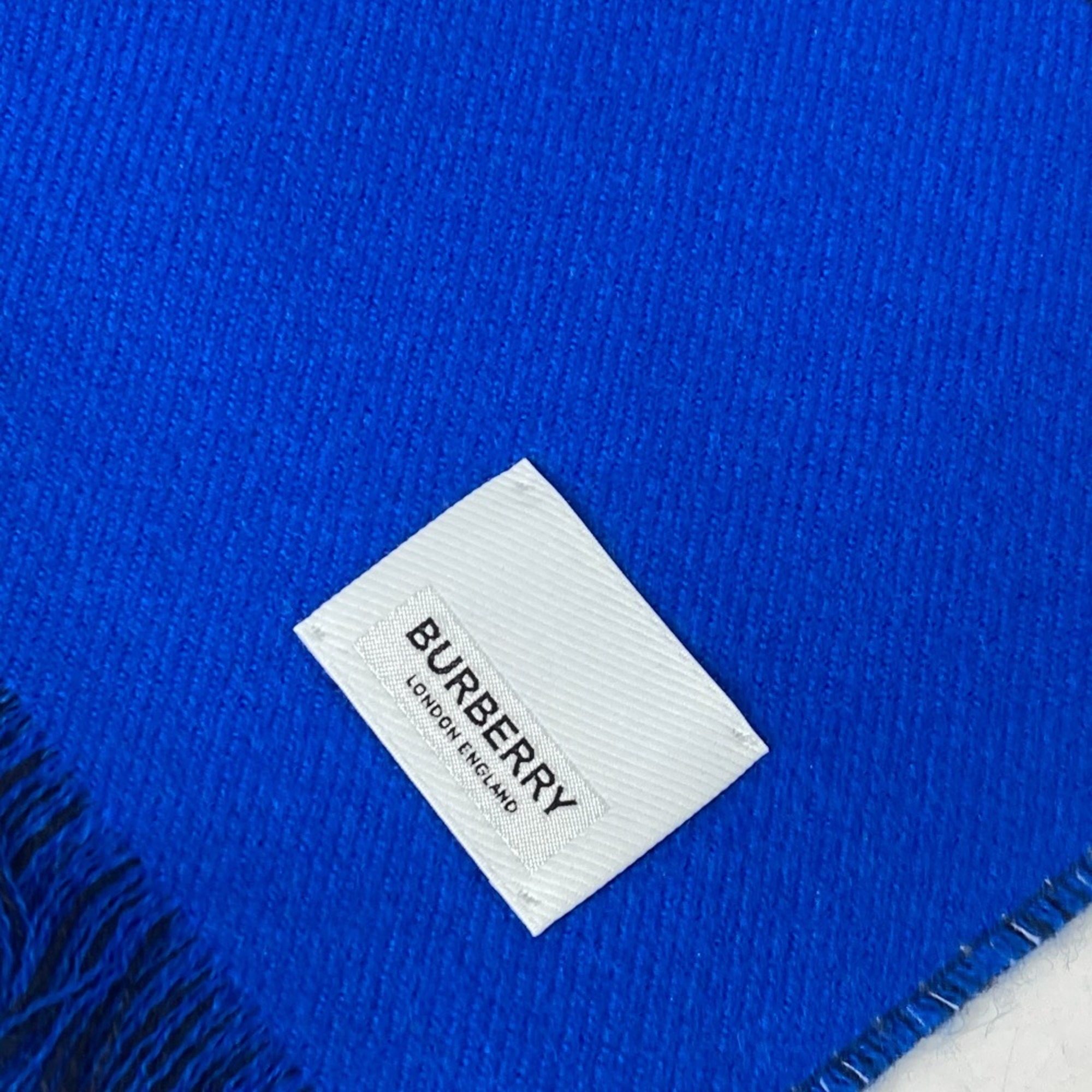 BURBERRY 8059892 Wool Scarf for Men and Women, Blue